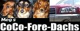 CocoForeDachs_banner.jpg